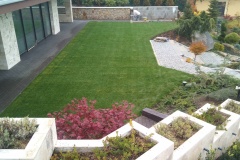 Travni koberec1